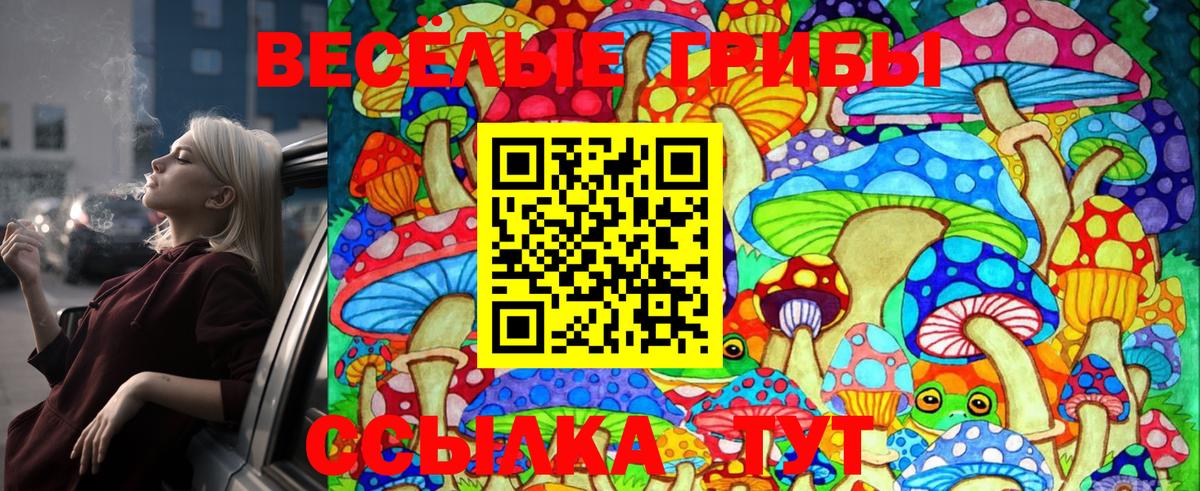 Галлюциногенные грибы MAGIC MUSHROOMS Ступино