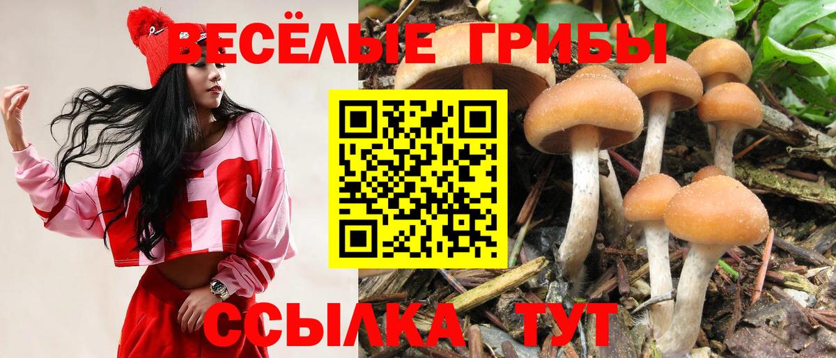 Псилоцибиновые грибы GOLDEN TEACHER  Вход с VPN  Ступино 